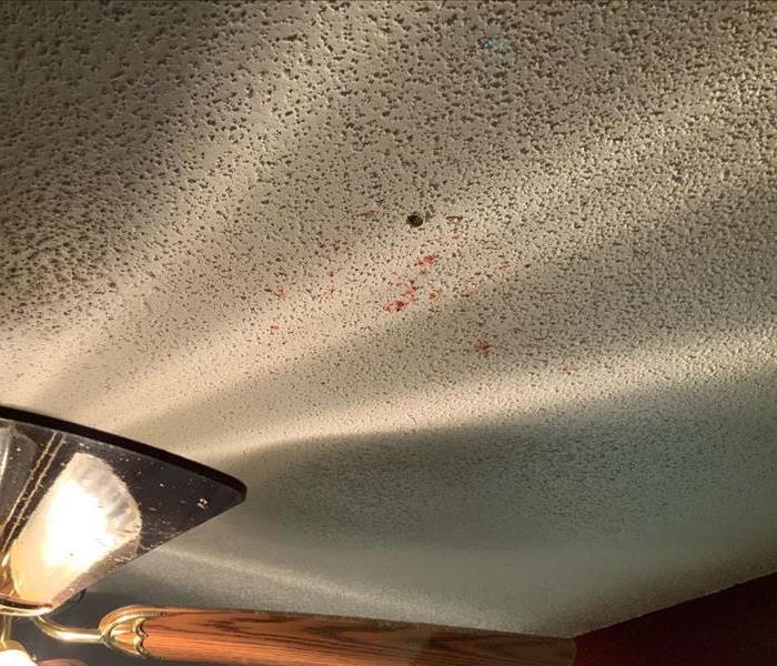 Blood Splatter on the ceiling.