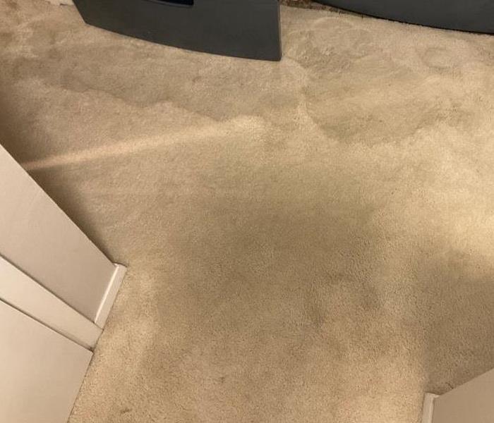 Water damage on carpet in front of washer and dryer